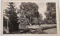 Képeslap, Miskolc, Miskolctapolca, park 1953 (S202)