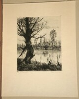 - Fehér Ilona (1913-1983) : Öreg fa a Tisza partján