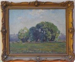 (K) Bosznay István (1868-1944) : Nyári táj