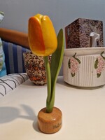 Holland fa tulipán