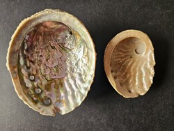Természetes Abalone kagyló / tengeri fülcsiga pár (12 cm és 8 cm) – Gyöngyház dekoráció