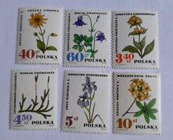 1967 Védett terápiás növények