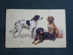Képeslap,litho,grafikai,művészet,szetter vadász kutya,1908-