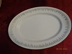 Csehszlovák minőségi  porcelán ovális húsos tál, mérete 33 x 23 x 3 cm. Vanneki!