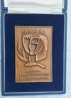Hungarian Memorial Coin