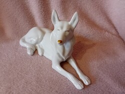 2610/6 Hollóházi porcelán ritka fekvő kutya figura arany festéssel