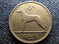 Írország kutya 6 Pingin 1 reul 1952