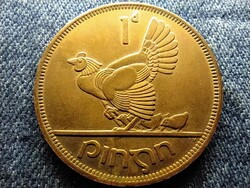 Írország tyúk csibékkel 1 Pingin 1968