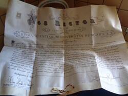 Latin nyelvű jogi doktori ,ügyvédi diploma , amelyet 1910 körül adtak ki