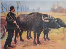 Kunffy Lajos -- Bivalyfogat --1905