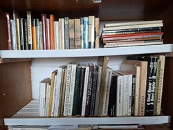 INGYEN POSTA! 65 kötet FESTŐMŰVÉSZET-ALBUMOK ,MONOGRÁFIÁK, FESTŐ ÉLETRAJZOK jelképes áron, EGYBEN