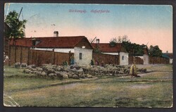 1920 Erdélyi Mór: Birkanyáj, pásztor – Trianon átmeneti postatörténet Zágráb-Franciaország, SHS Veri
