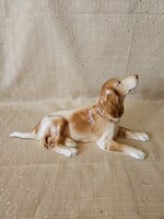 Gránit Ir Szetter kutya porcelán