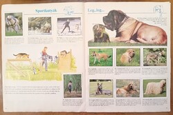 ÁLLATOK A HÁZ KÖRÜL  Lutra album  - PANINI-