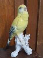 Német,Germany Karl ENS Volkstedt Madár Porcelán Figura.13.5 cm.