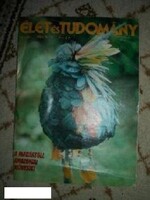 Élet és Tudomány, 1983. november 18.