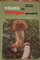 Ehető és mérges gombák
