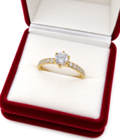 Xuping TTM Premium Hypoallergenic Gold-Plated Stainless Steel Ring with Cubic Zirconia, Size 9 (5018)