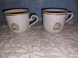 Hollóházi porcelán kávés csésze Douwe Egberts jelzéssel