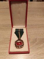 For Service to the Homeland Medal bronze class original presentation box MNK