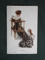 Képeslap,Harrison Fisher grafika,művészet,lány,hölgy,masnis női modell,kutya,1915-