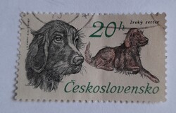 1973 A Csehszlovák Vadászszervezet 50. évfordulója - Vadászkutyák