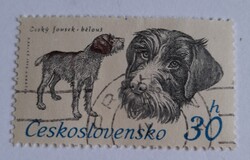 1973 A Csehszlovák Vadászszervezet 50. évfordulója - Vadászkutyák