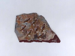 2B702 Festett palatábla fosszília festmény Edward 17.5 x 28 cm