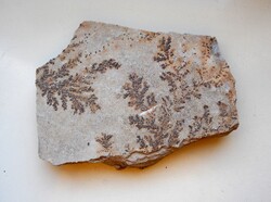 Dendrites homokkő lap