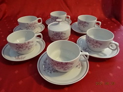 Hollóházi porcelán, teáscsésze + alátét, a hat darab együtt eladó Vanneki!