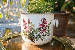Villeroy Botanica kaspó ,virágtartó