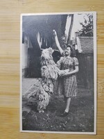 Régi fotó, Nő komondor kutyával, kb. 1950-es évek