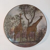 Royal Doulton „African Series – Giraffes” D6482 porcelán fali dísztányér zsiráffal (26,5 cm)