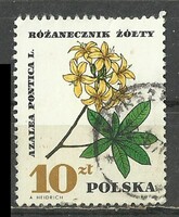 Lengyel 10 Zl