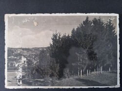 Régi képeslap Zilah – Fenyves-rész a Pulin, régi erdélyi képeslap – 1942
