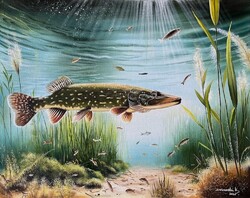 LEÁRAZVA Dabronaki Csuka 40x50 cm olaj-vászon