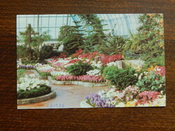 American Postcard (USA, Cincinnati, Ohio) 1978 - Eden Park, Krohn Conservatory Easter Exhibition