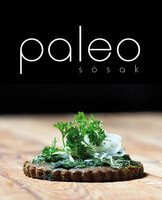 Paleo Sósak