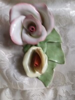 Kispest Rose Nip