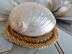 Beautiful Polished Sea Abalone Shell