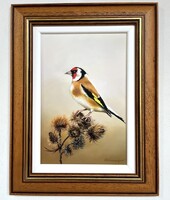 Obermayer (1965- ) Tengelic a bojtorján bokron Keretezve 43x33 cm