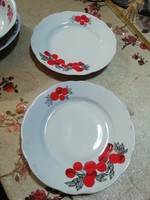 Porcelain plates 2 pcs 63. Auction, multiple items, take all