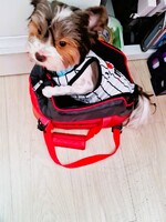Very Nice Red-Black Leather Dog Carrier. Code: KF 285