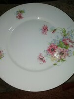 Porcelain plate Victoria. in the condition shown in the pictures. Auction, multiple items, take all