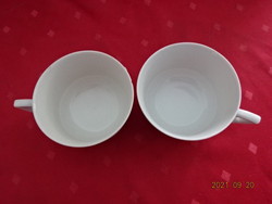 2 db együtt eladó Zsolnay porcelán teáscsésze, antik, pajzspecsétes, manófüles. Vanneki!