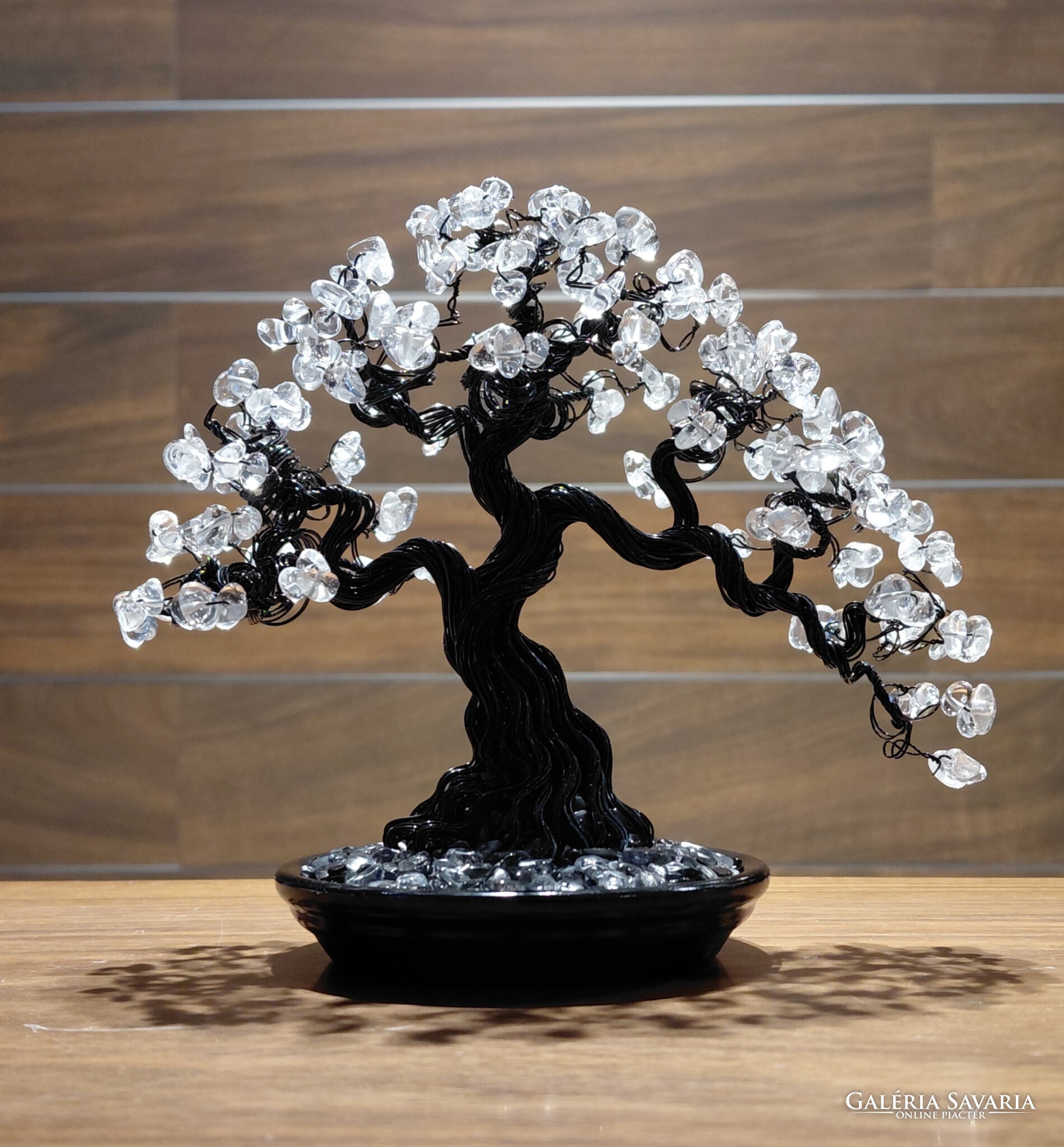 Elad bonsai | Galria Savaria online piactr - Vsroljon vagy hirdessen  megbzhat, sznvonalas felleten!