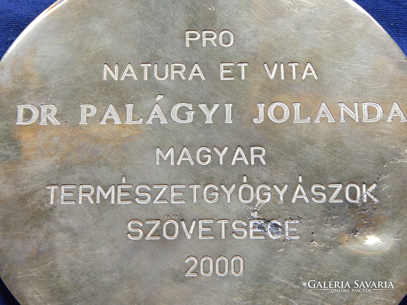 PRO NATURA ET VITA DR. PALÁGYI JOLANDA MAGYAR TERMÉSZETGYÓGYÁSZOK ...