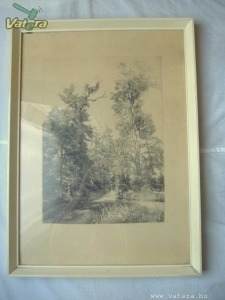 Rézkarc  Dudás Jenő  "Tölgy"  erdő,  52,5x38,5cm.