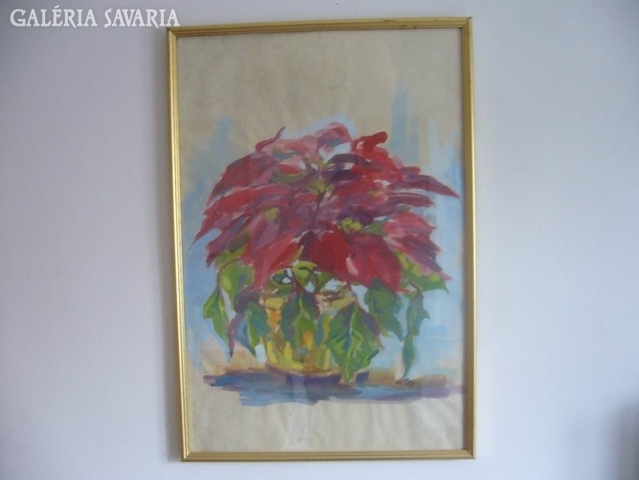 Lubomyr mudretzkyj: flower still life poinsettia Santa Claus 60 x 40 cm