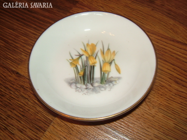 Royal worcester monarch diesel dinner plate - daffodils